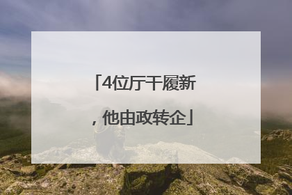 4位厅干履新，他由政转企