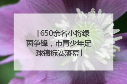650余名小将绿茵争锋，市青少年足球锦标赛落幕