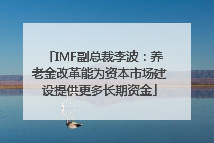 IMF副总裁李波：养老金改革能为资本市场建设提供更多长期资金