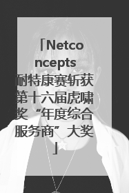 Netconcepts耐特康赛斩获第十六届虎啸奖“年度综合服务商”大奖