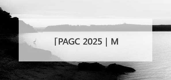 PAGC 2025｜MergeX荣膺「2025 H1 出海新势力奖」