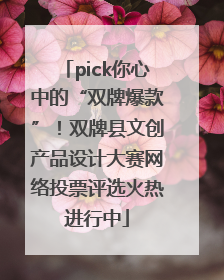 pick你心中的“双牌爆款”！双牌县文创产品设计大赛网络投票评选火热进行中